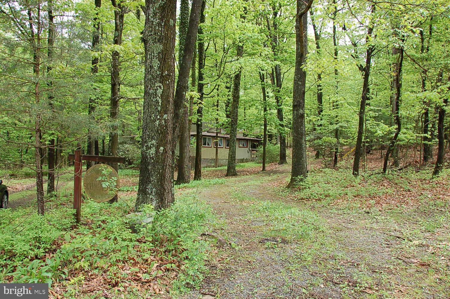 4883 Spring Road Shermans Dale, PA 17090 - Photo 4 of 37 Gallery Image 4