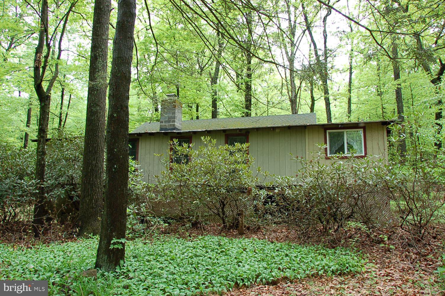 4883 Spring Road Shermans Dale, PA 17090 - Photo 6 of 37 Gallery Image 6