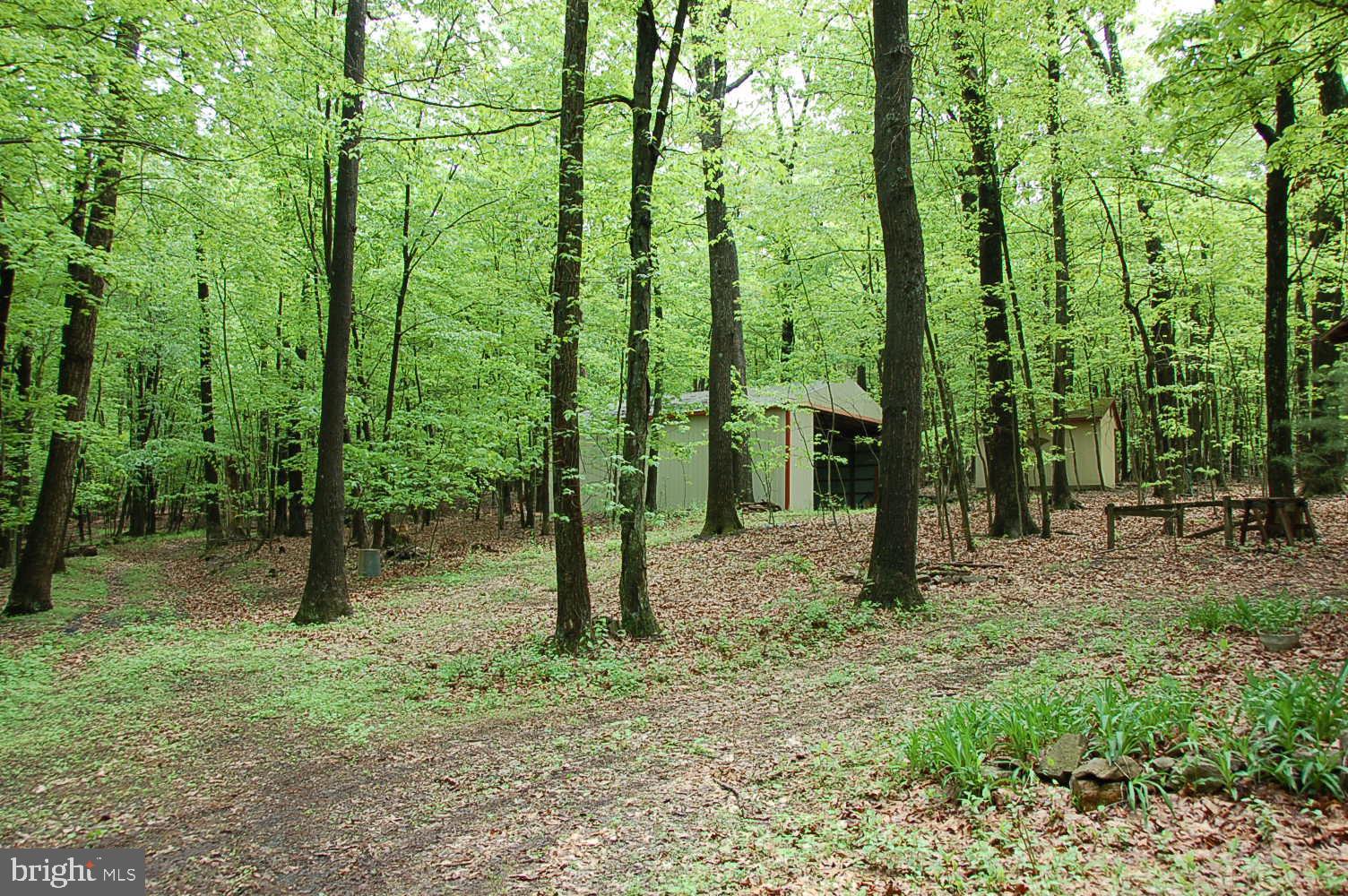 4883 Spring Road Shermans Dale, PA 17090 - Photo 7 of 37 Gallery Image 7