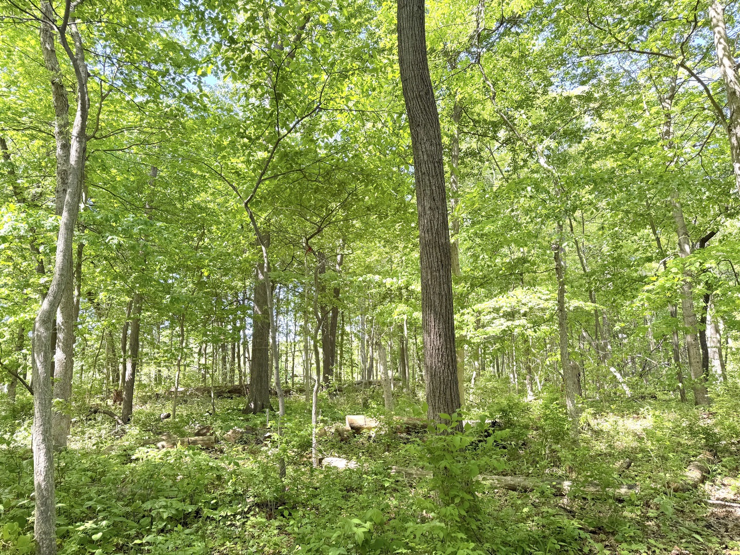 0 Winterbottom Road Morris, IL 60450 - Photo 2 of 5