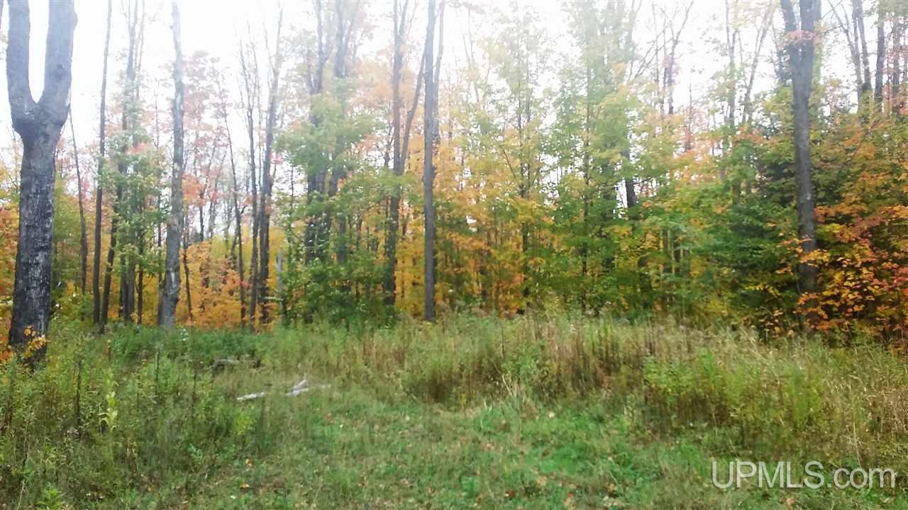 Lot 1 Maplewood Road Hurley, WI 54534 - Photo 5 of 8 Gallery Image 5