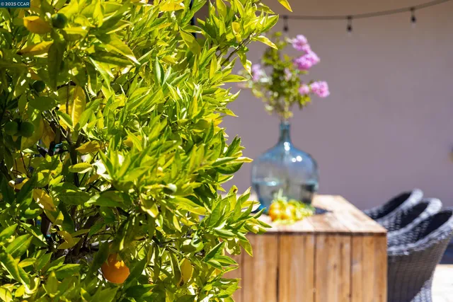 $3,250,000 | 3 Barnes Court, Moraga, CA 94556