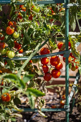 $3,250,000 | 3 Barnes Court, Moraga, CA 94556