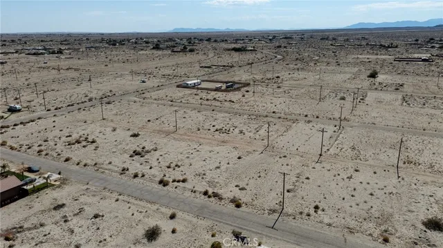a view of a dry yard