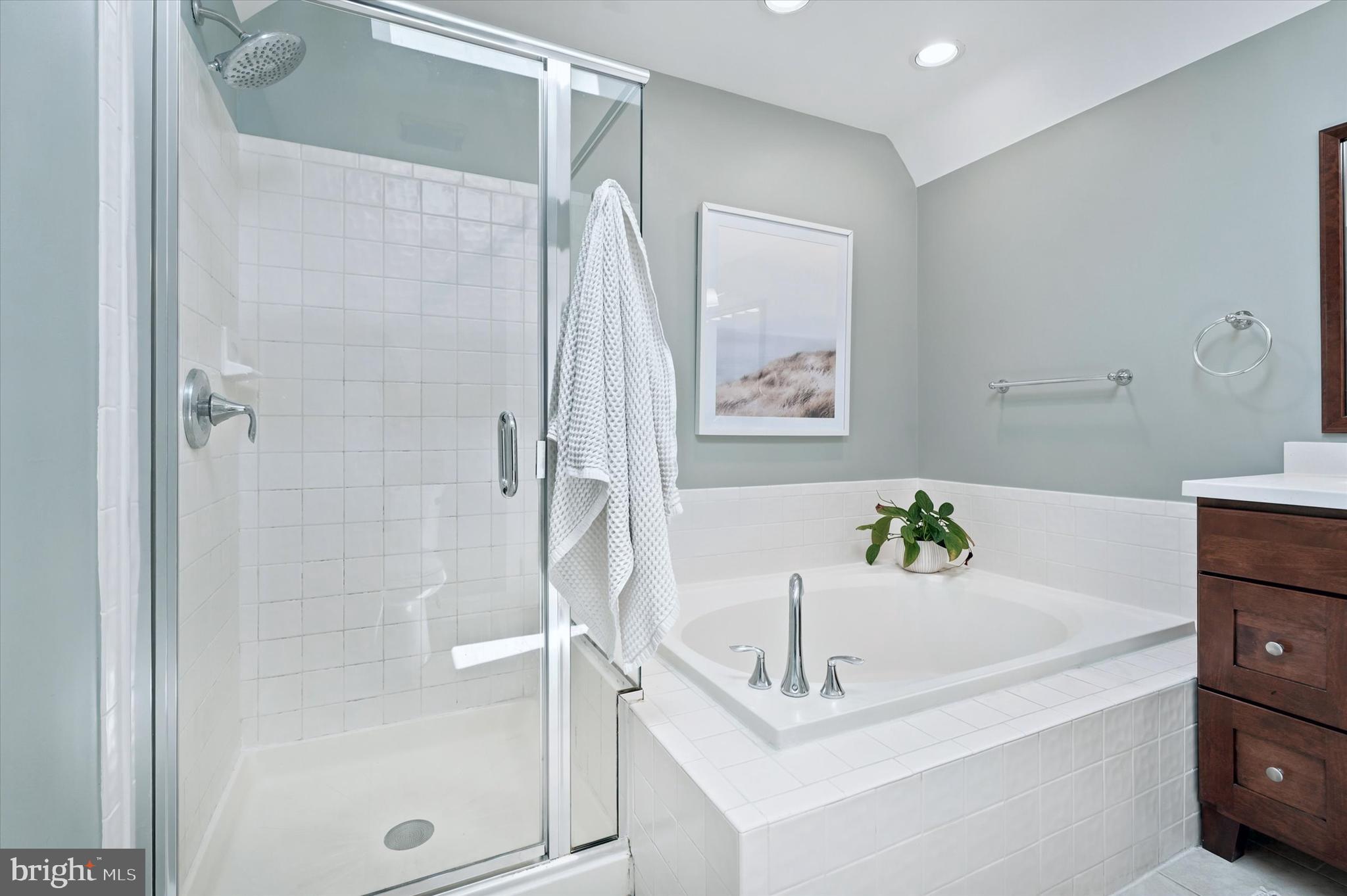 5 Linden Spring Lane Bear, DE 19701 - Photo 22 of 42 Primary Bath with Shower and Separate Soaking Tub