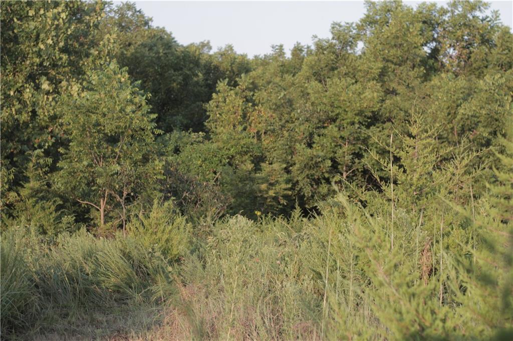 0 Willow Road Bronson, KS 66716 - Photo 42 of 53 Gallery Image 42