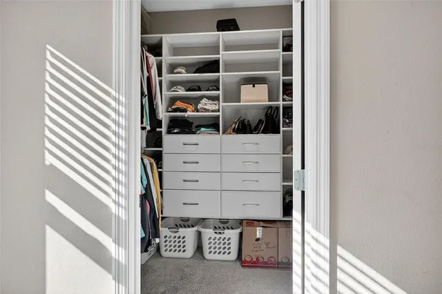 a living room with furniture a rug and a window