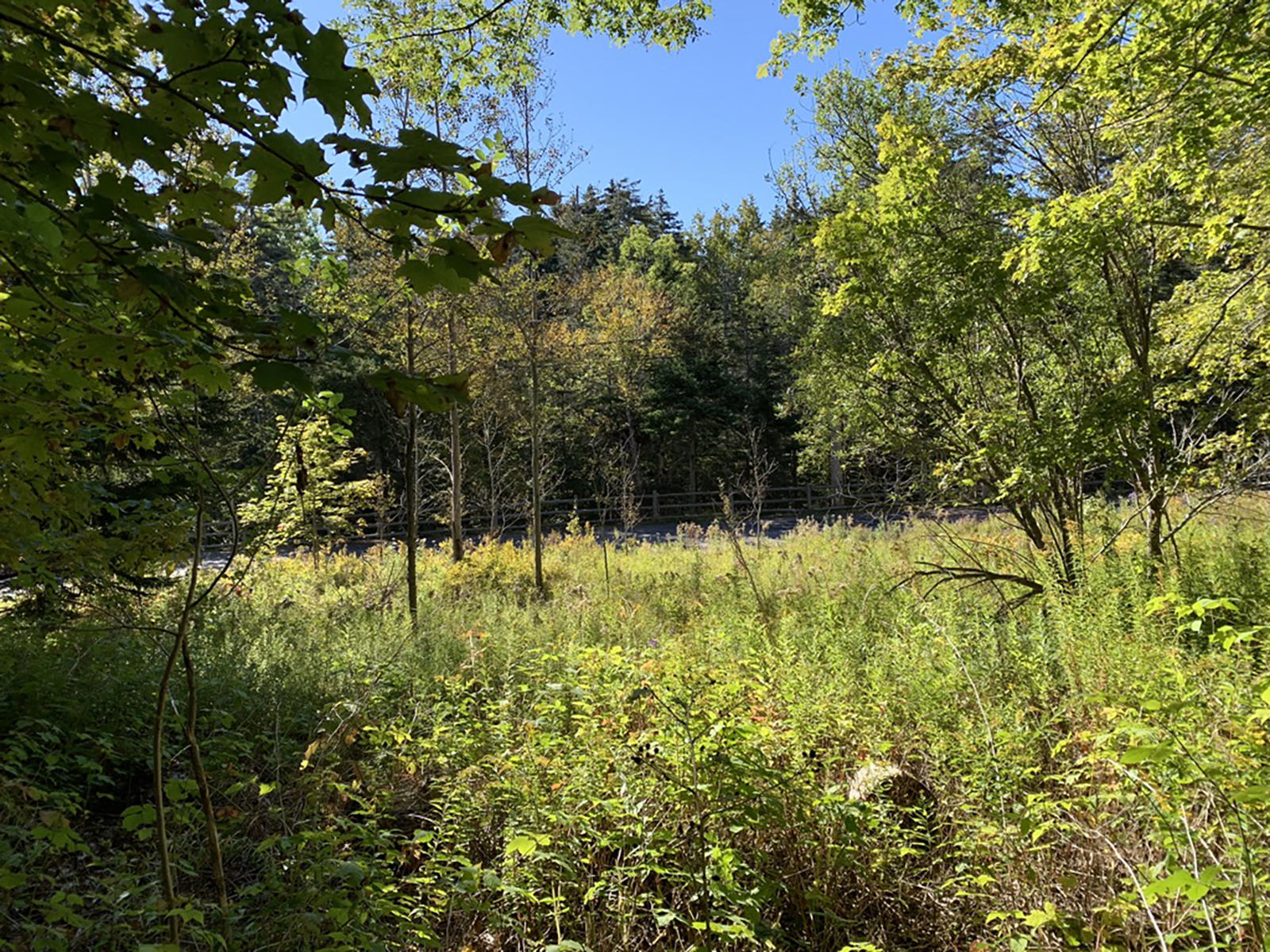 25 Map Road Northeast Harbor, ME 04662 - Photo 2 of 3 #2 -