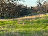 627 Merced Falls Snelling, CA 95329 - Photo 4 of 6 a view of yard