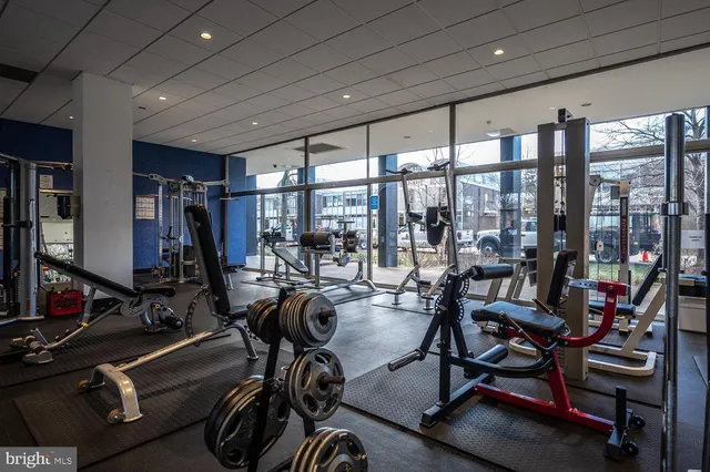 a view of a terrace with chairs