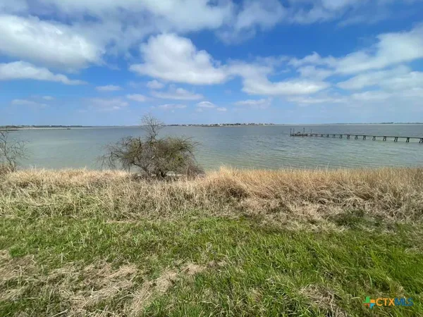 a view of a lake from a yard