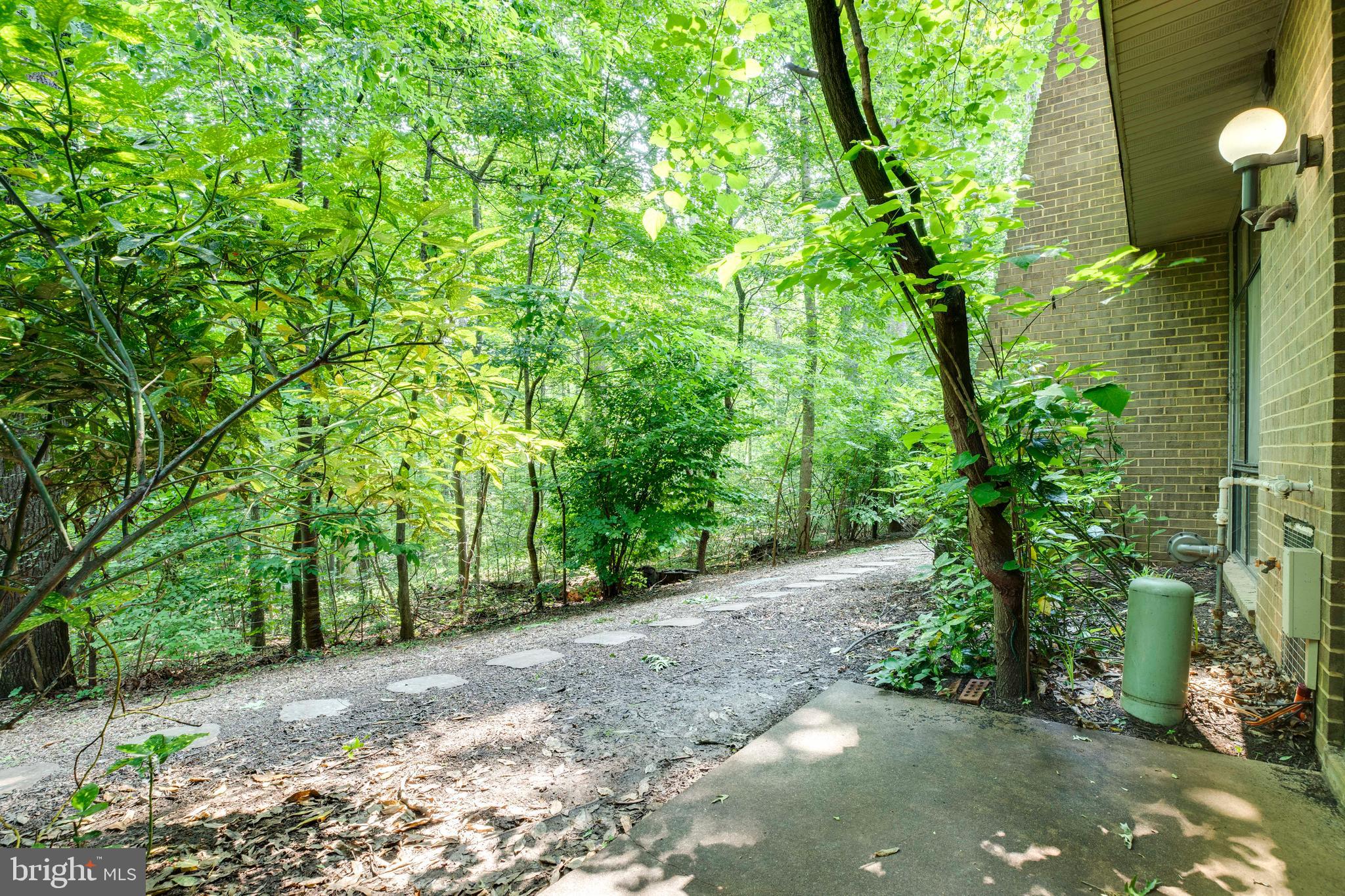 2106 Green Watch Way, Unit 101 Reston, VA 20191 - Photo 33 of 40 a view of a yard with plants and large trees