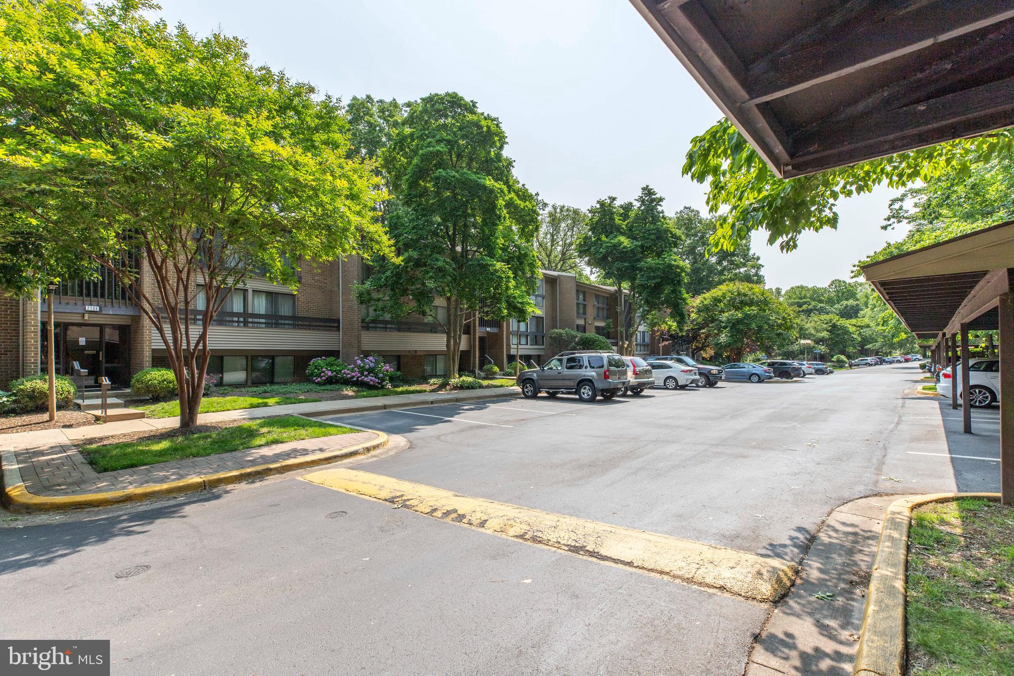 2106 Green Watch Way, Unit 101 Reston, VA 20191 - Photo 40 of 40 a row of palm trees in front of yellow house