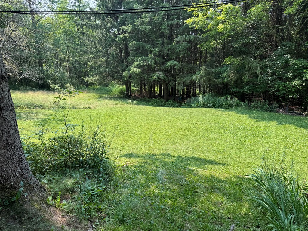 2068 Huntley Hollow Road Colchester, NY 13755 - Photo 38 of 43