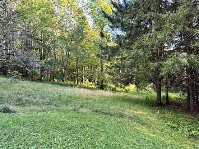 $280,000 | 2068 Huntley Hollow Road, Colchester, NY 13755