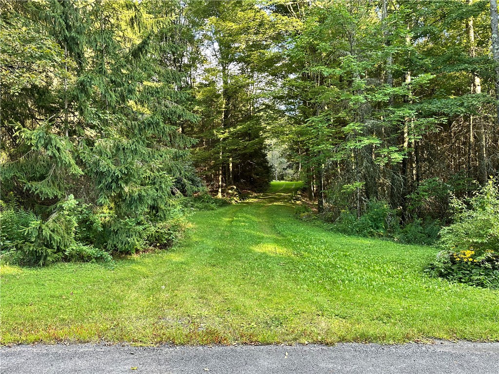 2068 Huntley Hollow Road Colchester, NY 13755 - Photo 42 of 43