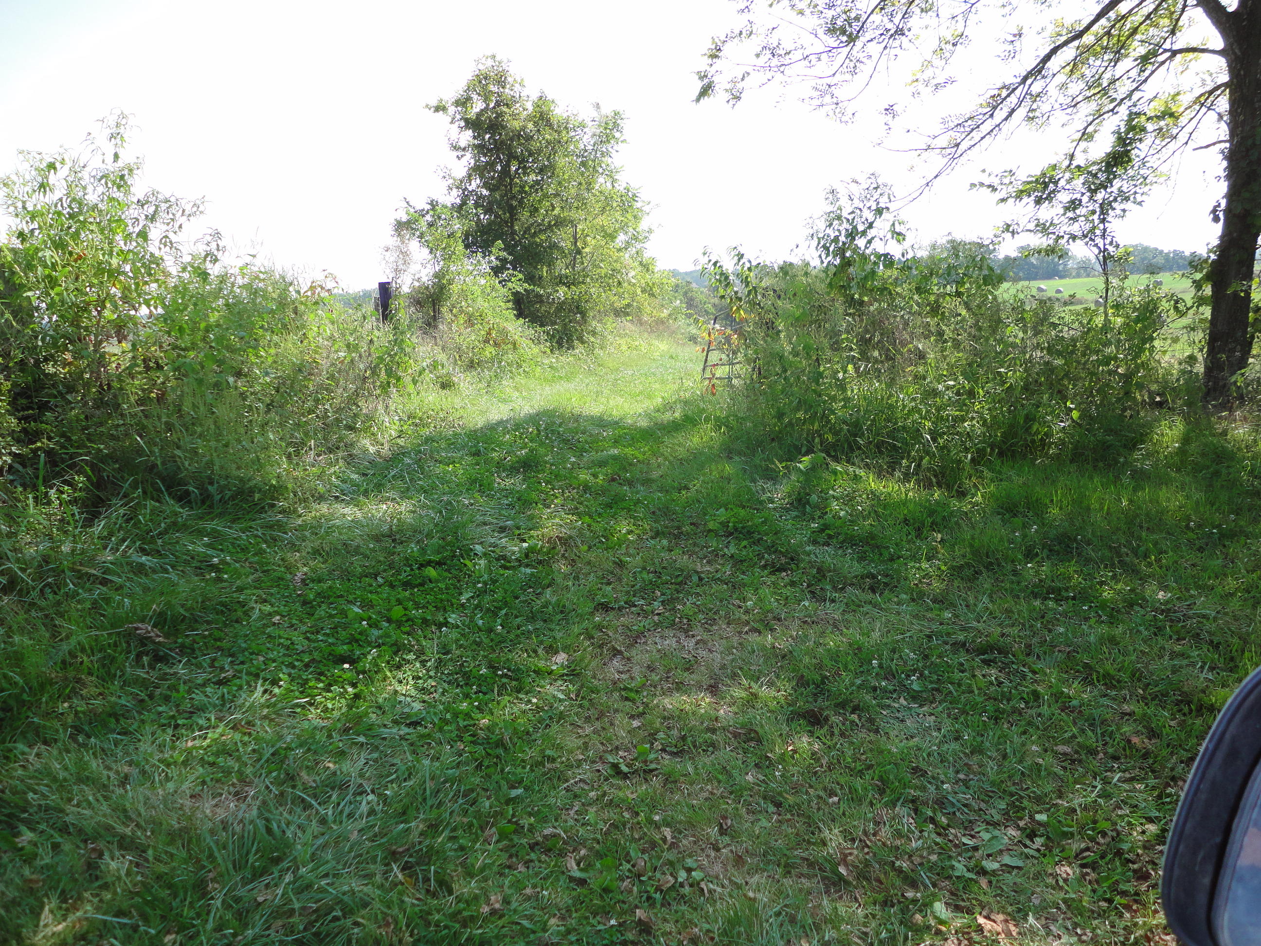 Tbd Mills Road Ozark, MO 65721 - Photo 1 of 1 DSC01100