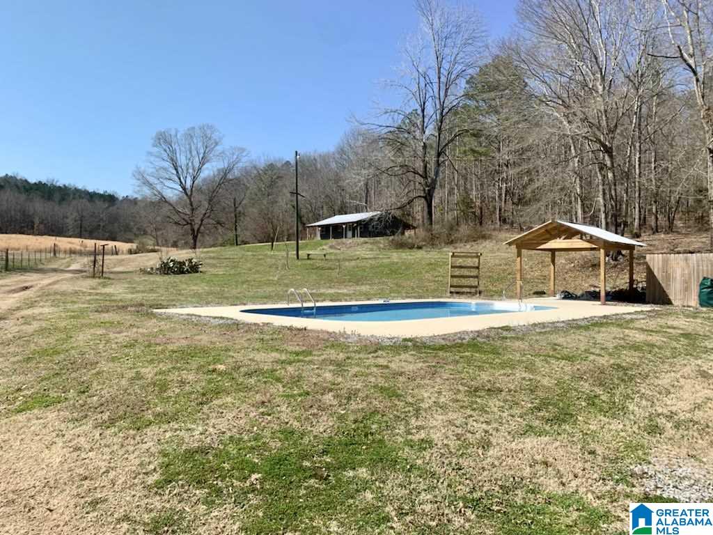 9302 Co Road Ashville, AL 35953 - Photo 4 of 4