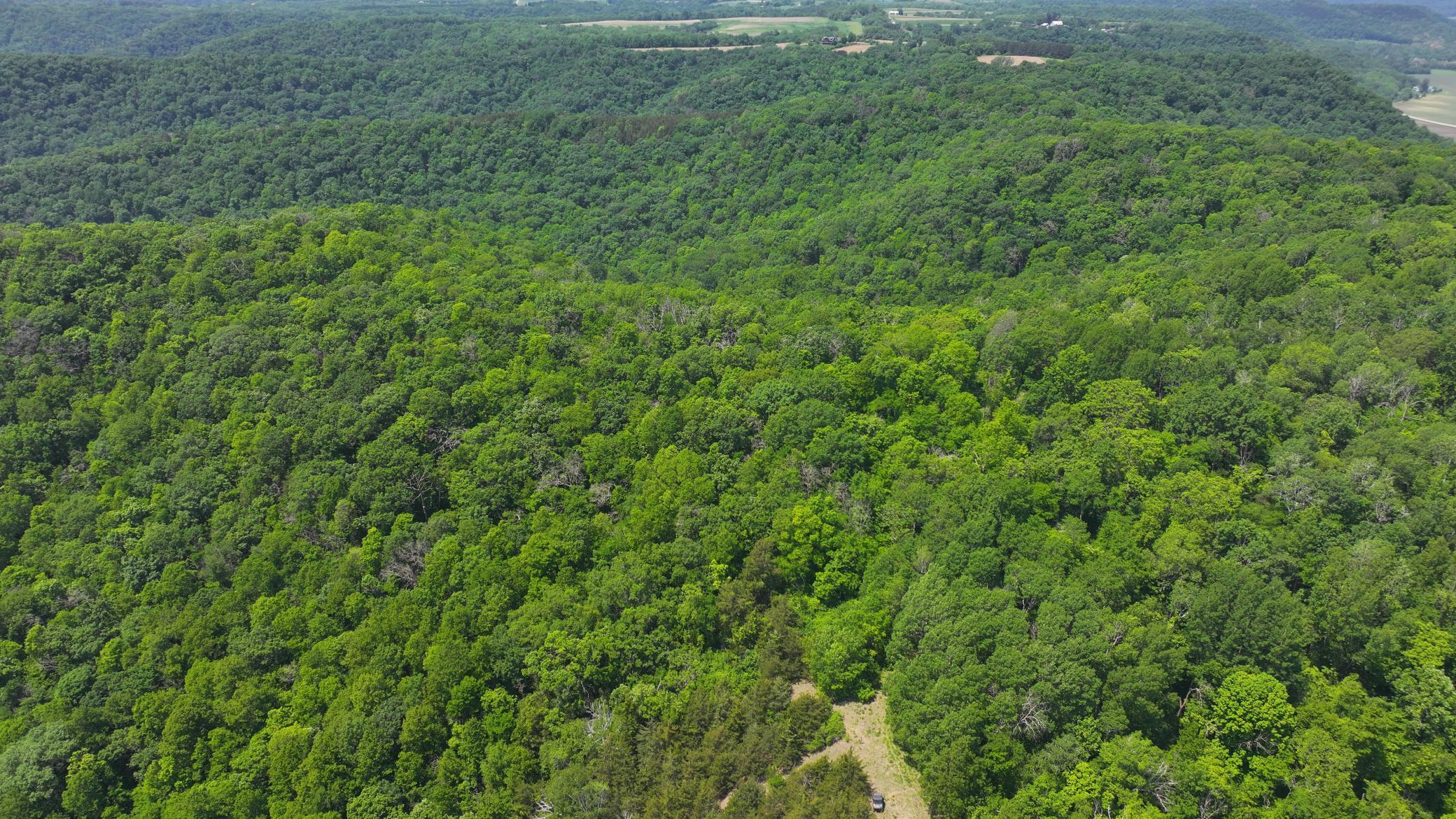 13 Rd Houston Mn 55943 Road Houston, MN 55943 - Photo 11 of 48