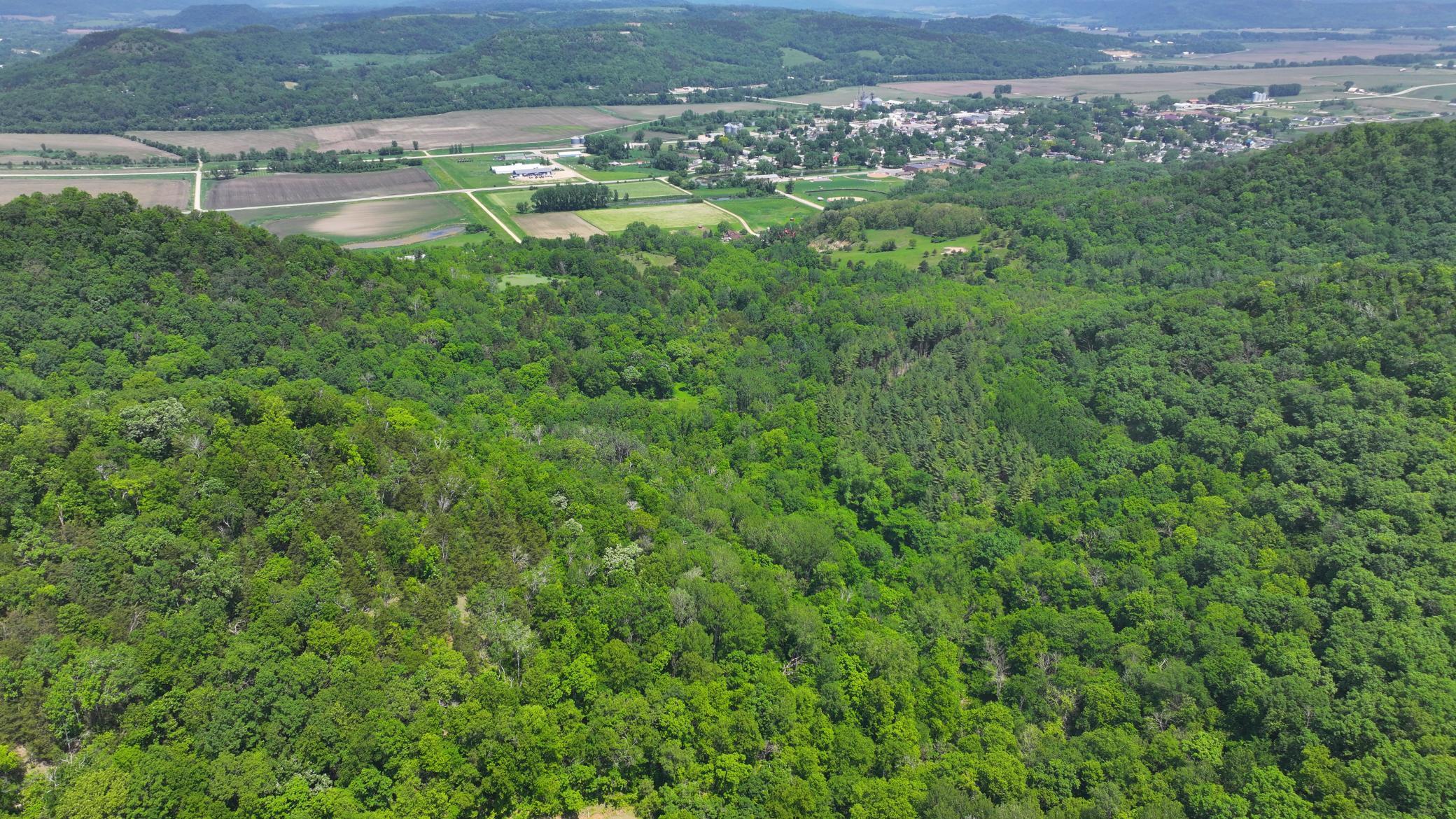 13 Rd Houston Mn 55943 Road Houston, MN 55943 - Photo 12 of 48