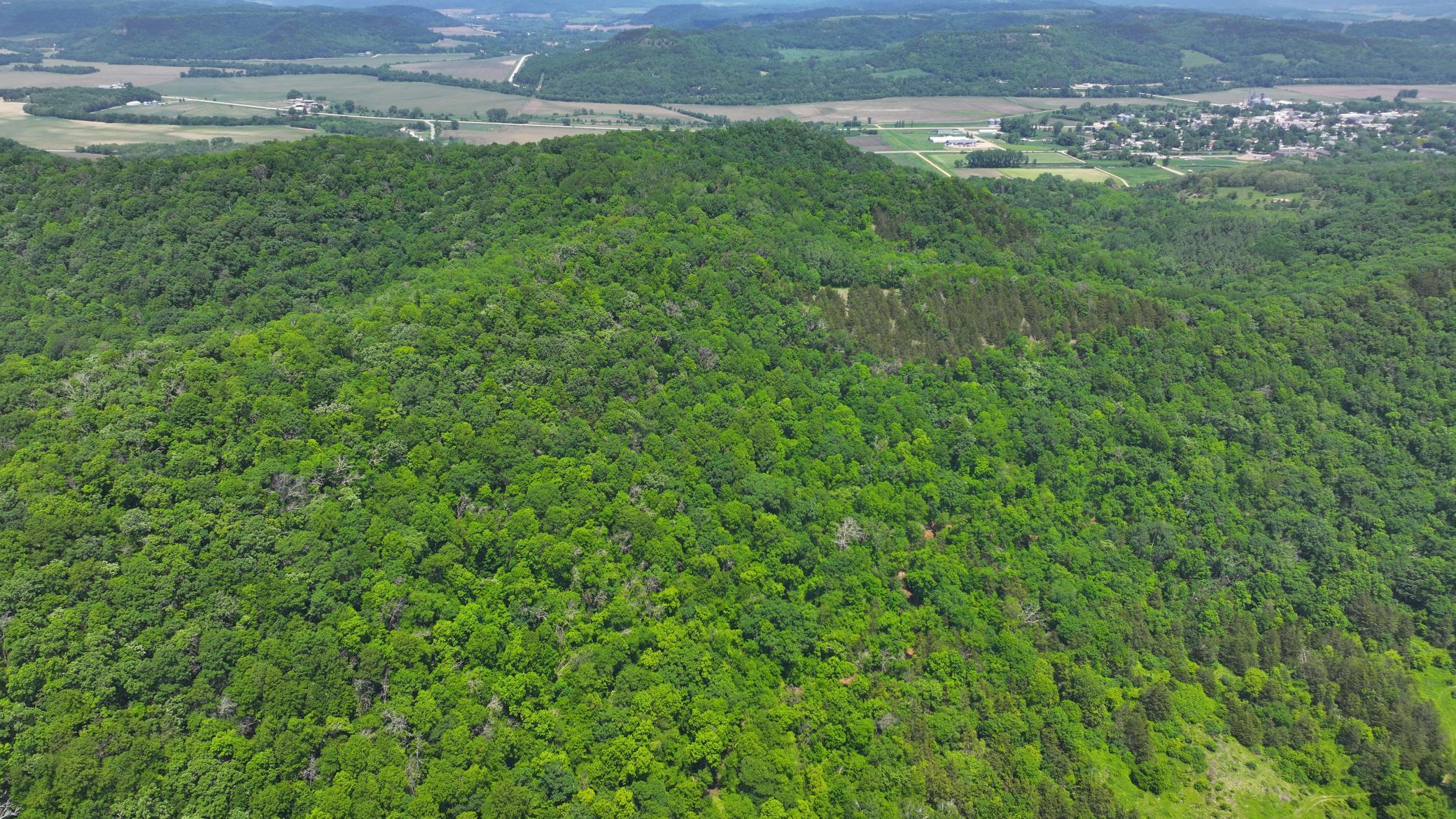 13 Rd Houston Mn 55943 Road Houston, MN 55943 - Photo 13 of 48
