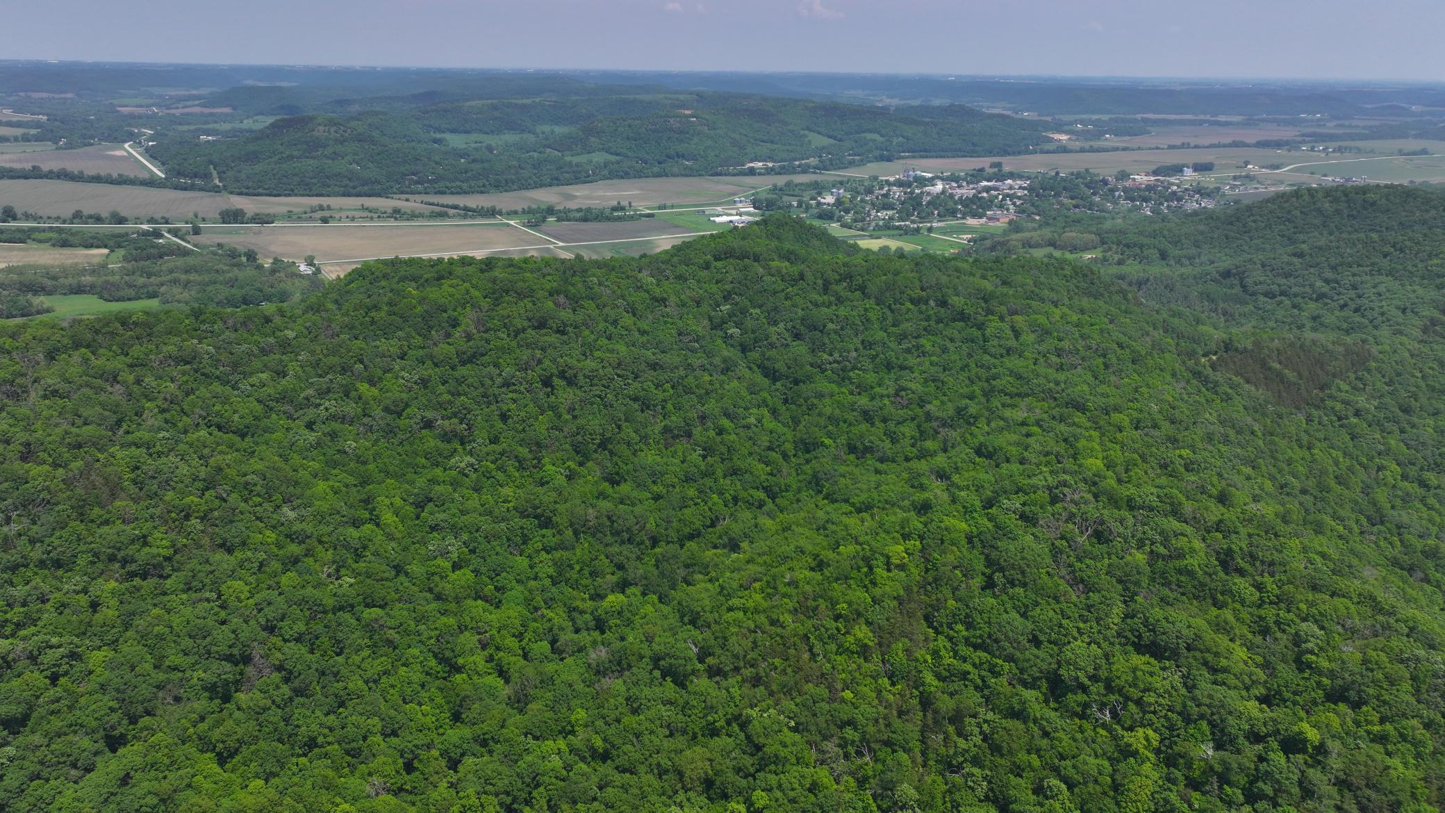 13 Rd Houston Mn 55943 Road Houston, MN 55943 - Photo 14 of 48