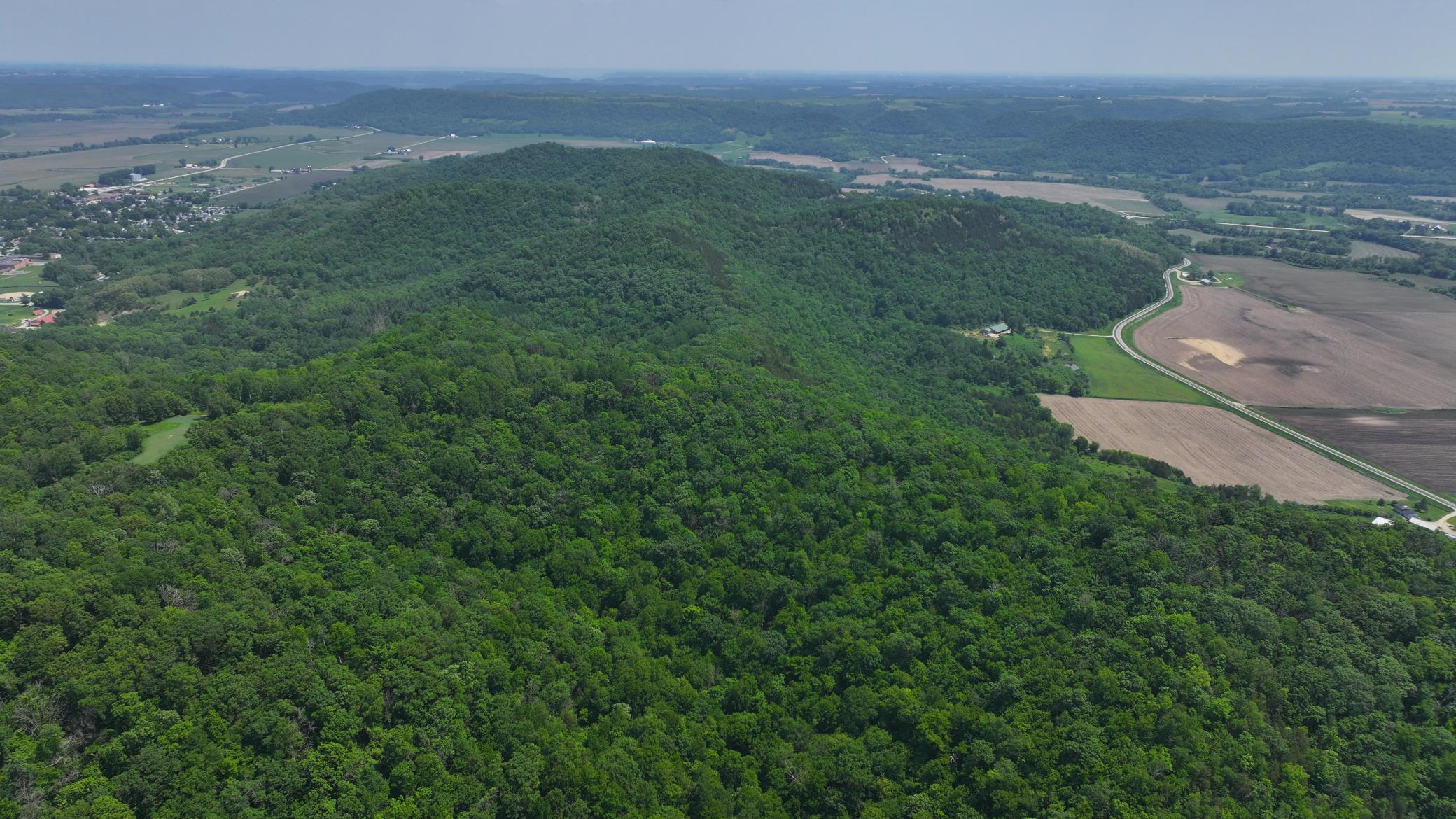 13 Rd Houston Mn 55943 Road Houston, MN 55943 - Photo 15 of 48