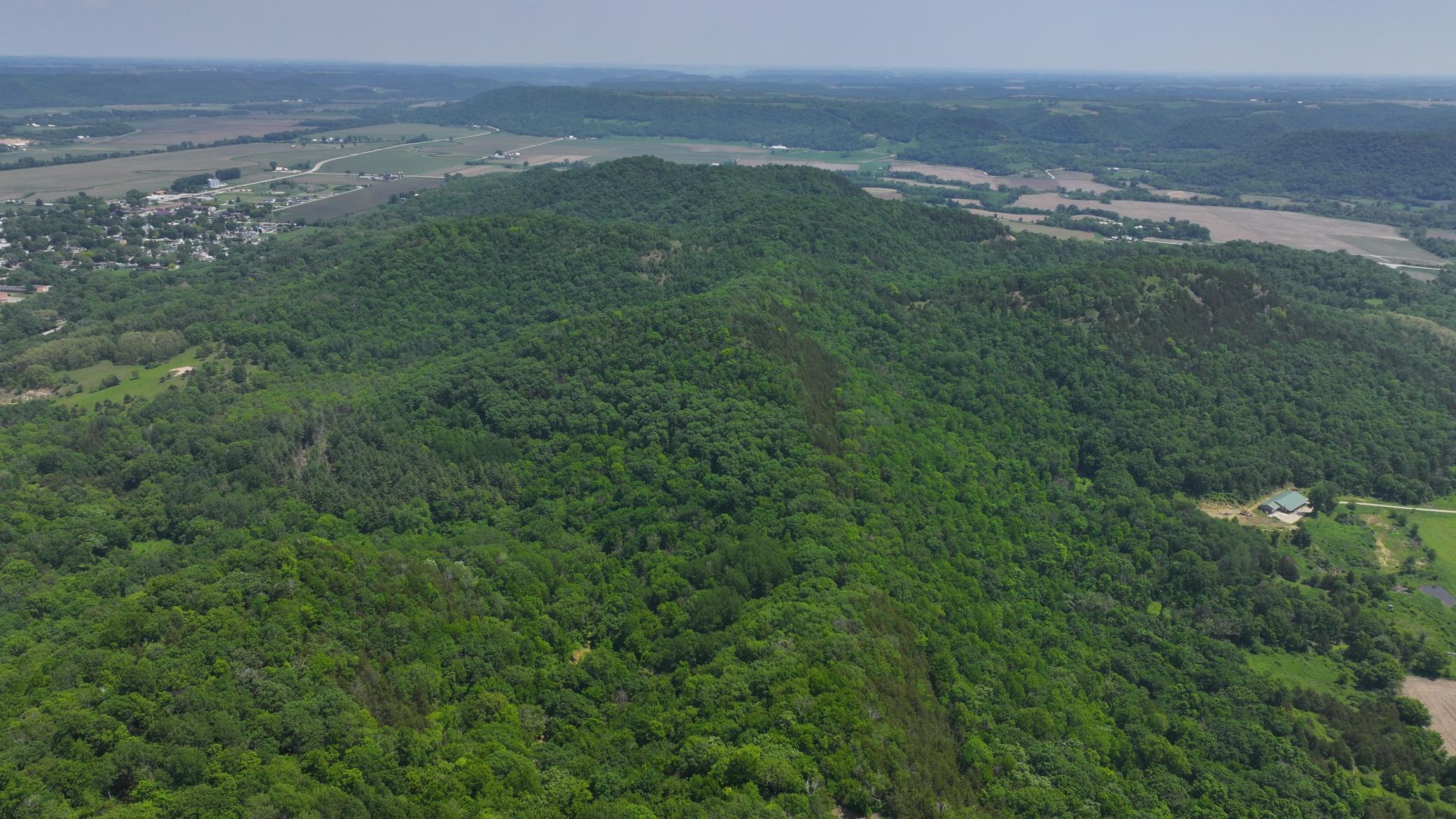 13 Rd Houston Mn 55943 Road Houston, MN 55943 - Photo 16 of 48
