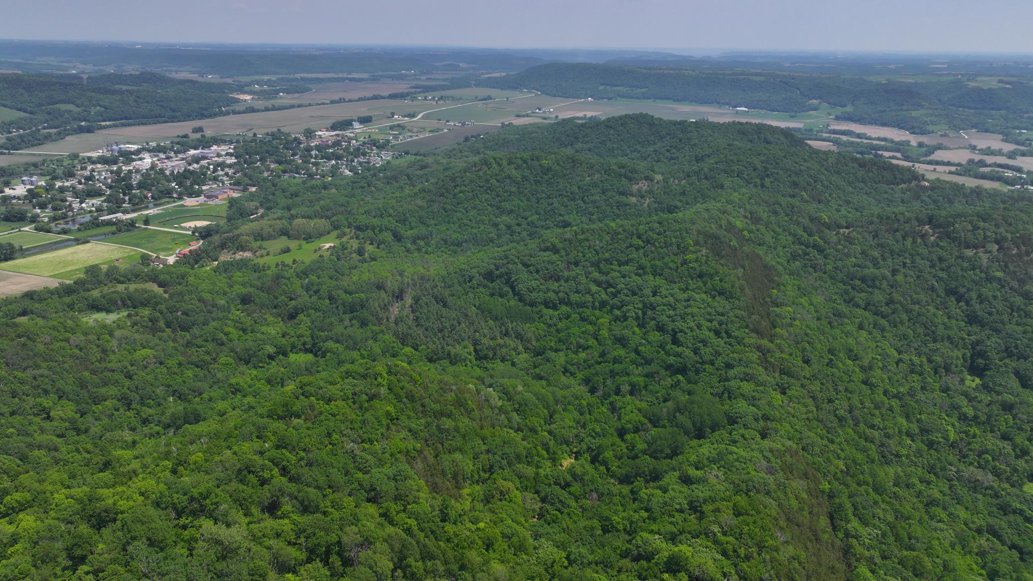 13 Rd Houston Mn 55943 Road Houston, MN 55943 - Photo 17 of 48