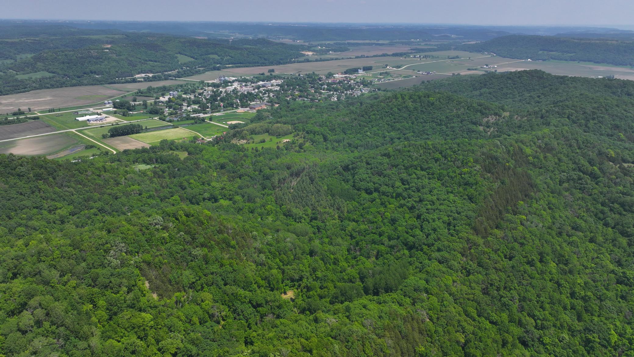 13 Rd Houston Mn 55943 Road Houston, MN 55943 - Photo 18 of 48