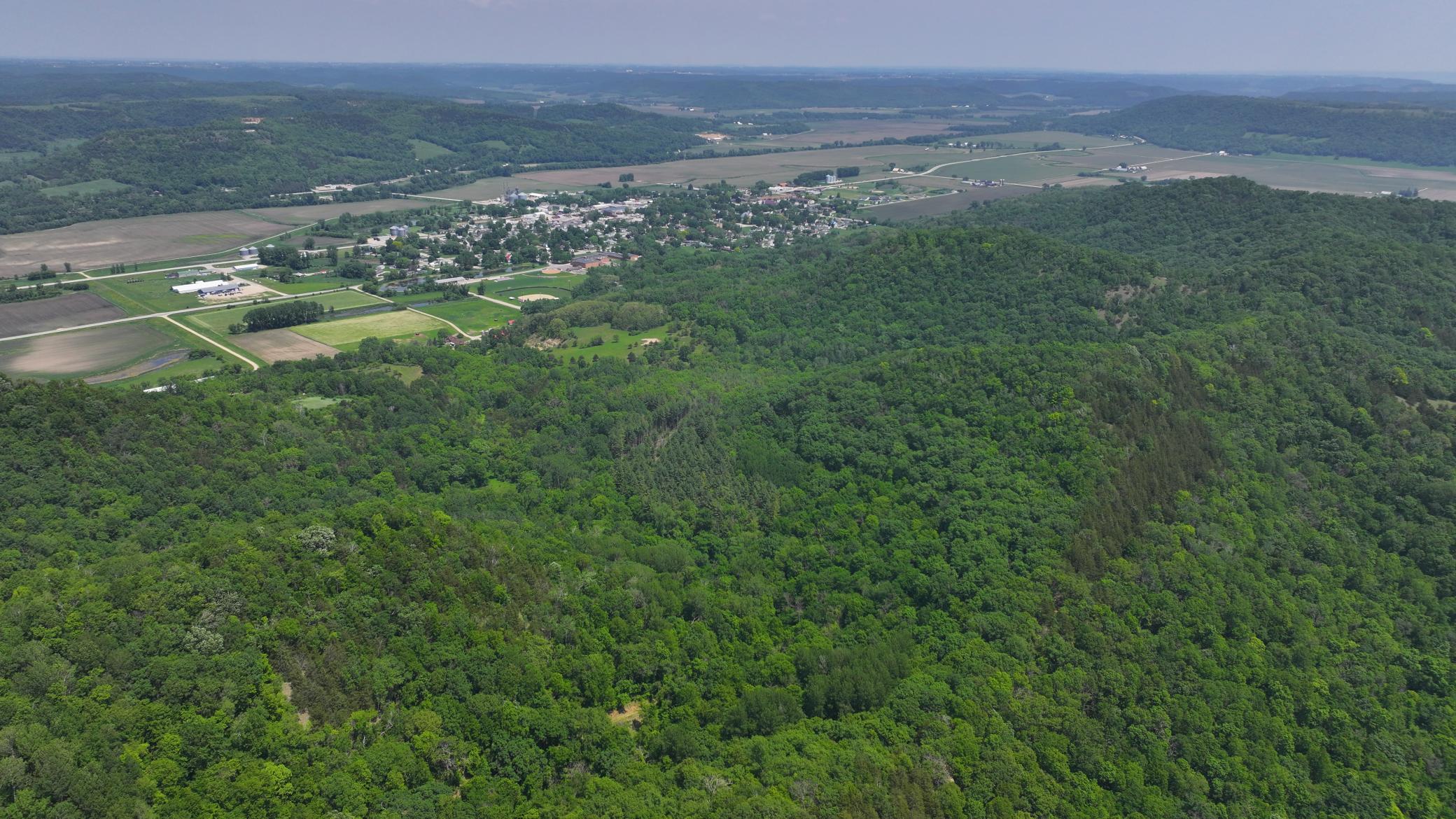 13 Rd Houston Mn 55943 Road Houston, MN 55943 - Photo 19 of 48