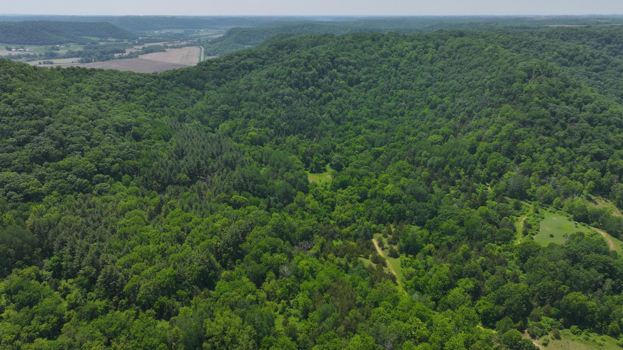 13 Rd Houston Mn 55943 Road Houston, MN 55943 - Photo 21 of 48