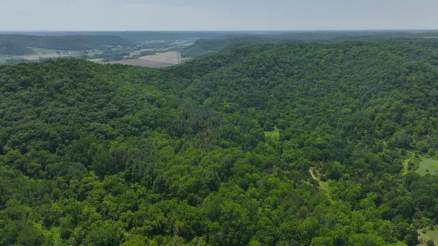 $750,000 | 13 Rd Houston Mn 55943 Road, Houston, MN 55943