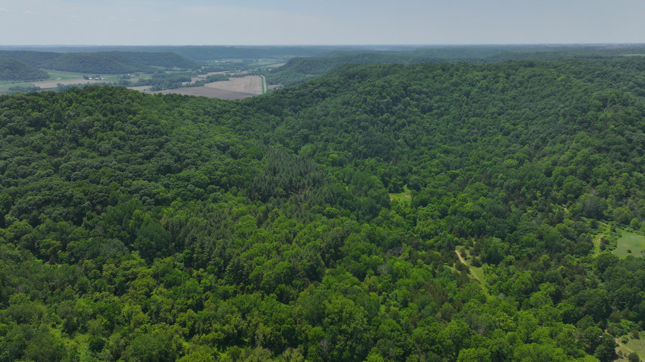 13 Rd Houston Mn 55943 Road Houston, MN 55943 - Photo 24 of 48