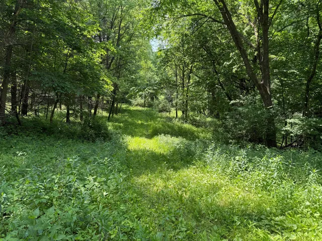 $750,000 | 13 Rd Houston Mn 55943 Road, Houston, MN 55943