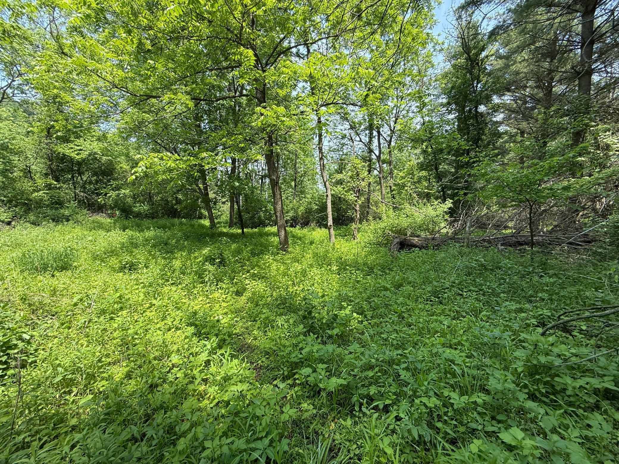 13 Rd Houston Mn 55943 Road Houston, MN 55943 - Photo 30 of 48