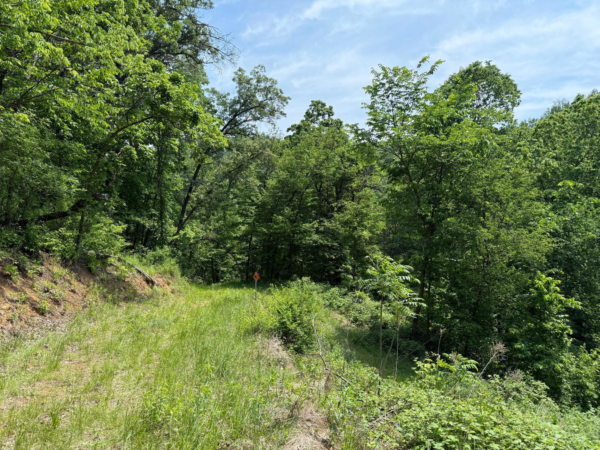 13 Rd Houston Mn 55943 Road Houston, MN 55943 - Photo 31 of 48