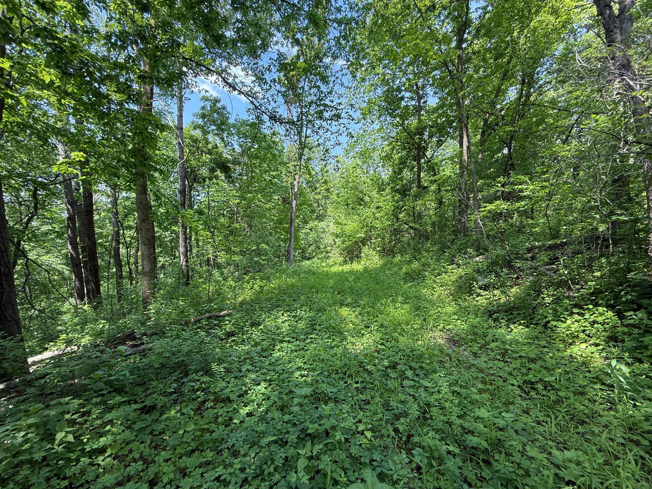 13 Rd Houston Mn 55943 Road Houston, MN 55943 - Photo 33 of 48