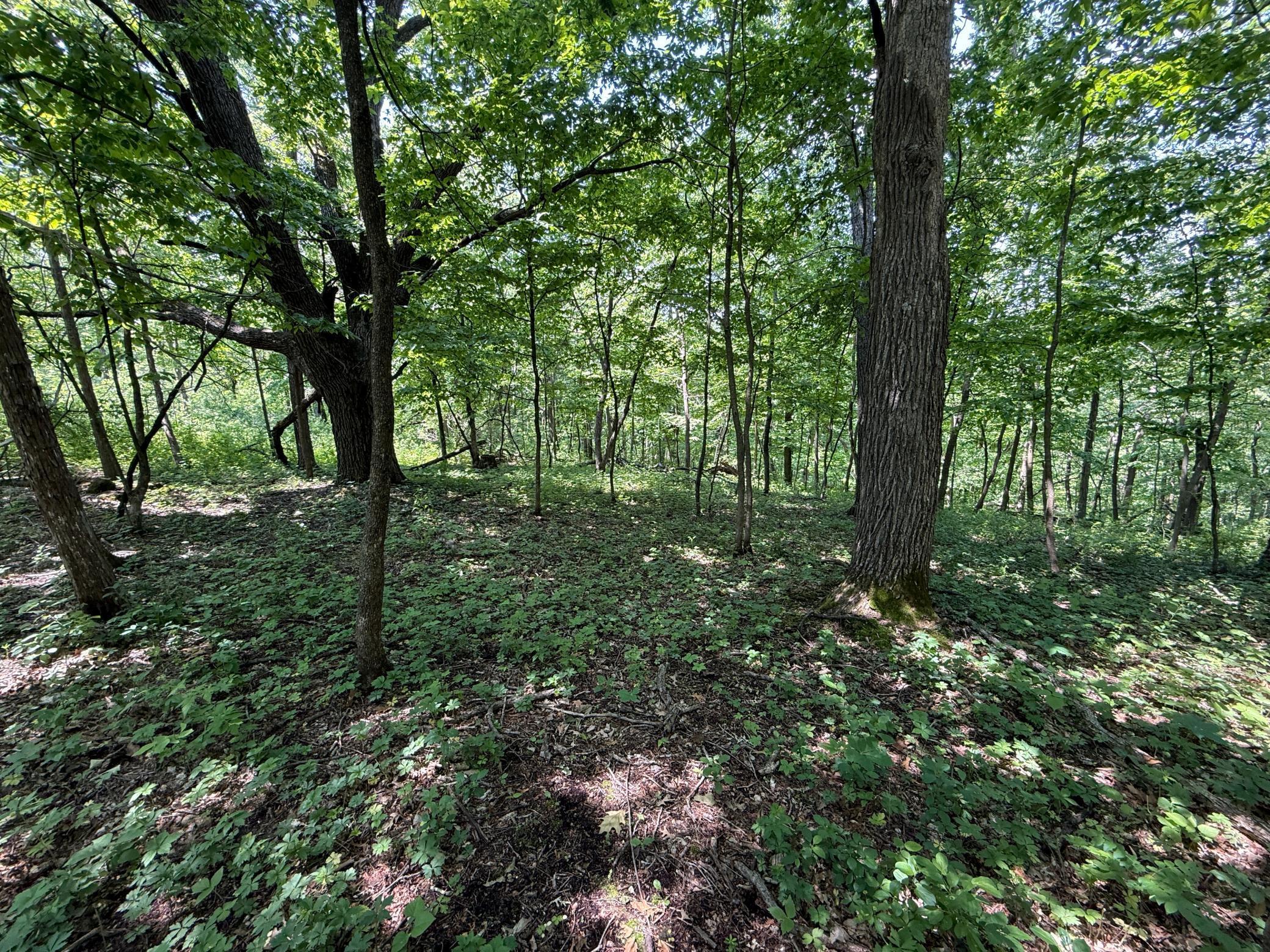 13 Rd Houston Mn 55943 Road Houston, MN 55943 - Photo 35 of 48