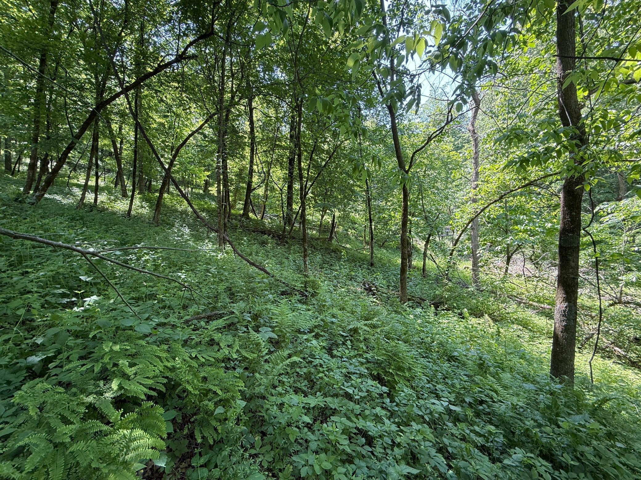 13 Rd Houston Mn 55943 Road Houston, MN 55943 - Photo 36 of 48