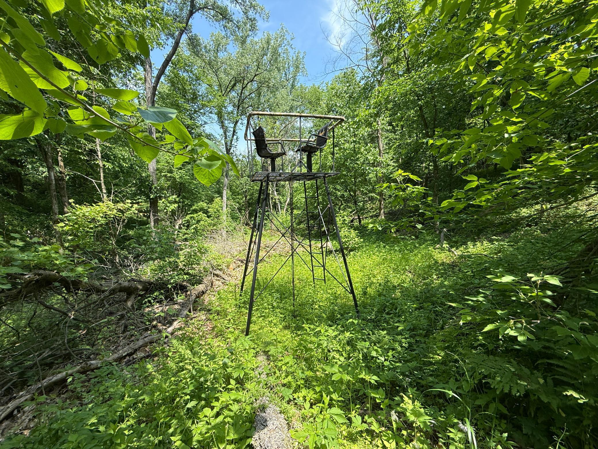 13 Rd Houston Mn 55943 Road Houston, MN 55943 - Photo 37 of 48