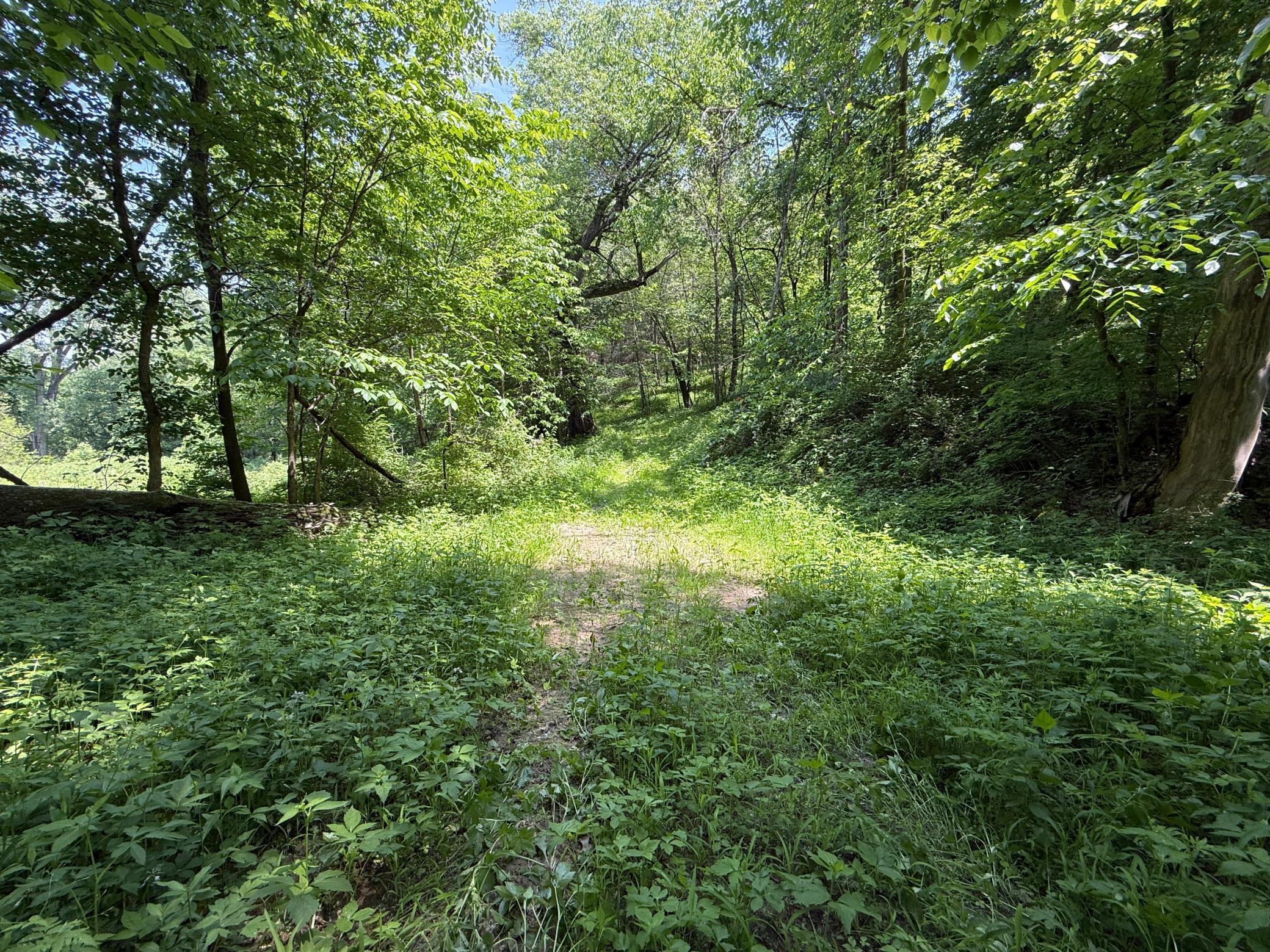 13 Rd Houston Mn 55943 Road Houston, MN 55943 - Photo 38 of 48