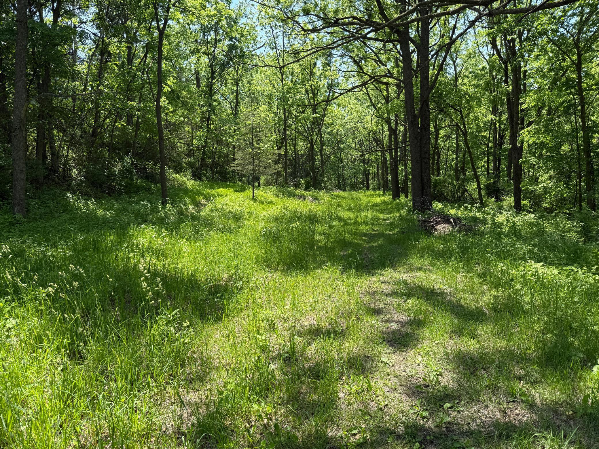 13 Rd Houston Mn 55943 Road Houston, MN 55943 - Photo 39 of 48