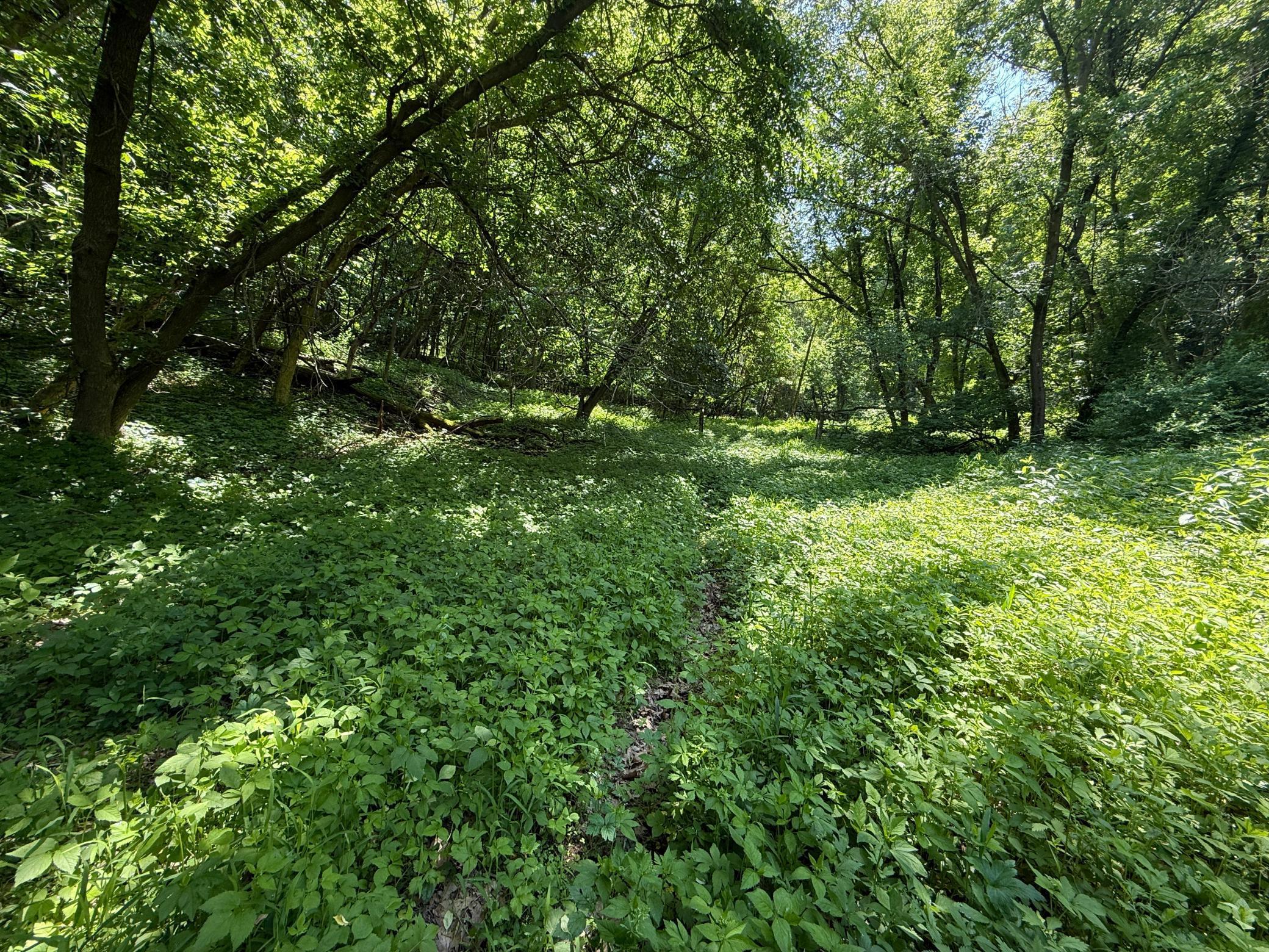 13 Rd Houston Mn 55943 Road Houston, MN 55943 - Photo 40 of 48