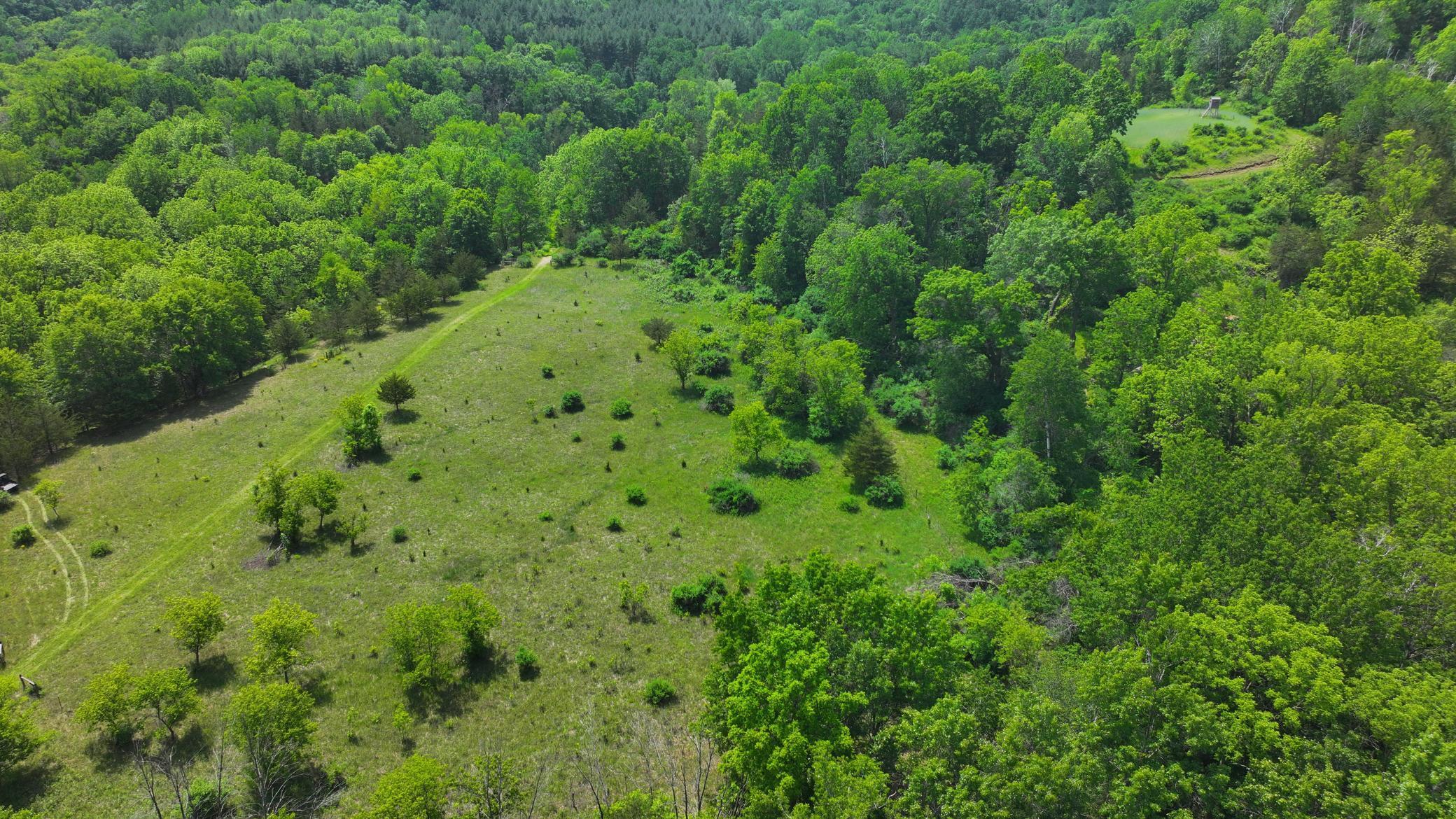 13 Rd Houston Mn 55943 Road Houston, MN 55943 - Photo 4 of 48