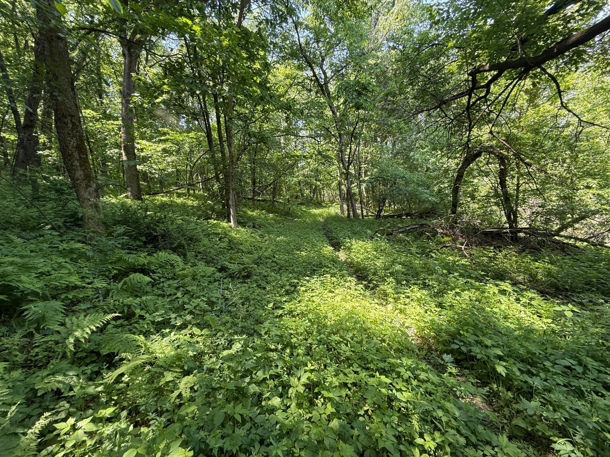 13 Rd Houston Mn 55943 Road Houston, MN 55943 - Photo 42 of 48