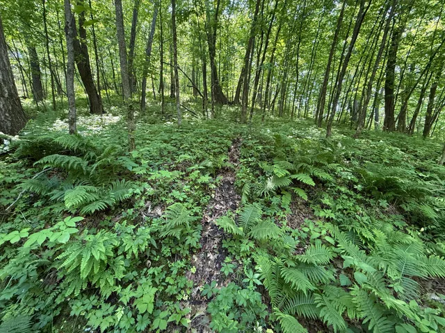 $750,000 | 13 Rd Houston Mn 55943 Road, Houston, MN 55943