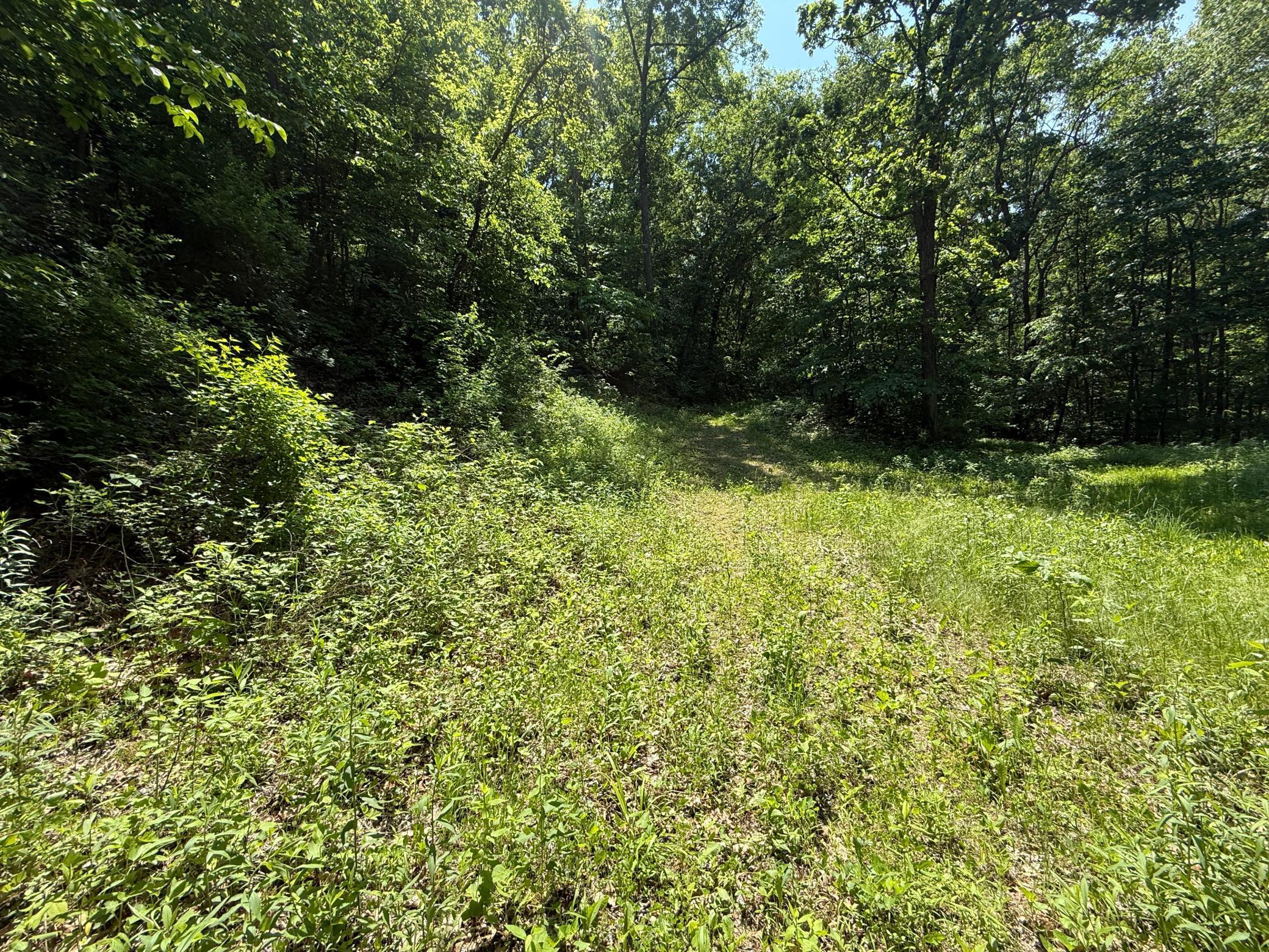 13 Rd Houston Mn 55943 Road Houston, MN 55943 - Photo 44 of 48