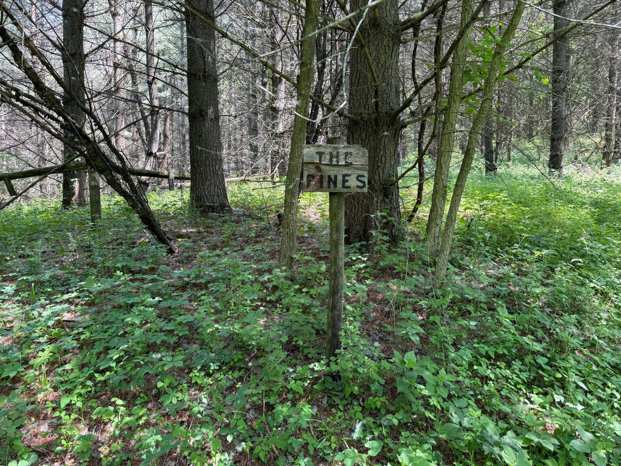 13 Rd Houston Mn 55943 Road Houston, MN 55943 - Photo 45 of 48