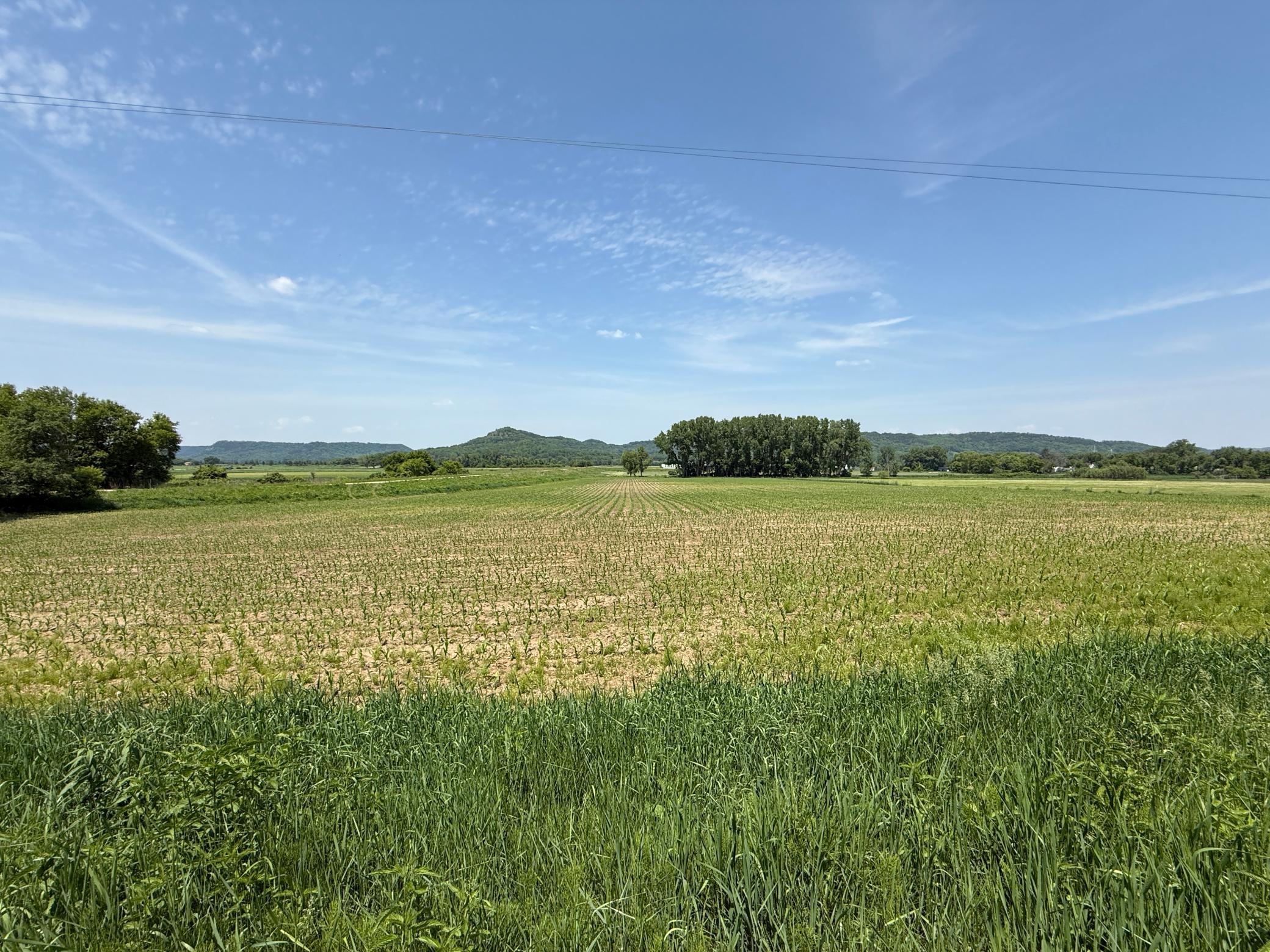 13 Rd Houston Mn 55943 Road Houston, MN 55943 - Photo 46 of 48